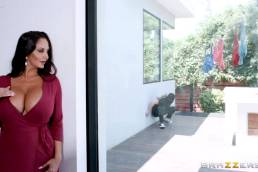 Ava Addams – Mom’s Panty Bandit