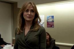 Sasha Alexander Being Milf In Shameless